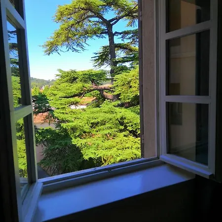 Le Victoria Ντραγκινιάν
